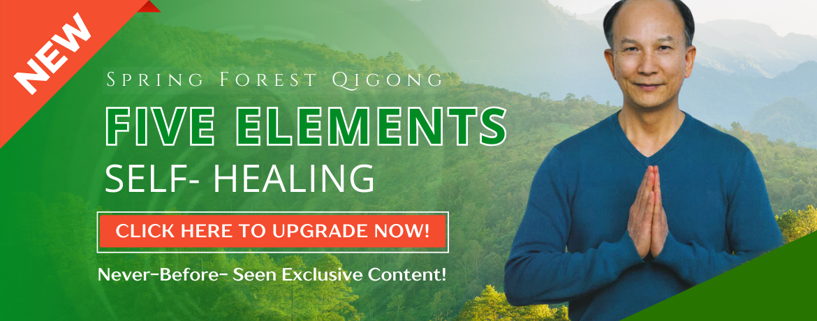 New Five Elements Self-Healing