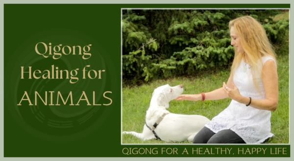 Qigong for Animal Healing Online Course