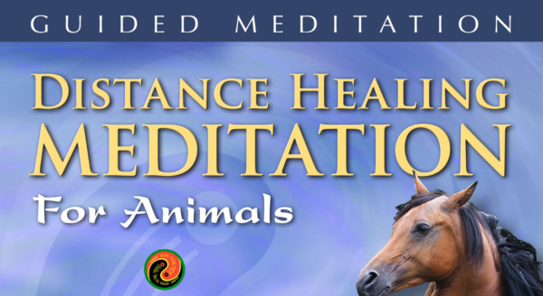 Guided Distance Healing Meditation for Animals