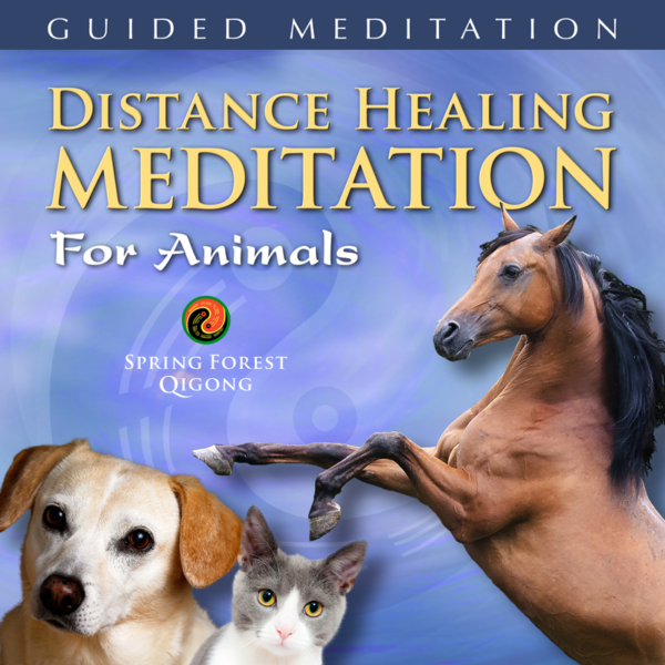 Qigong for Animal Healing Online Course - Image 2