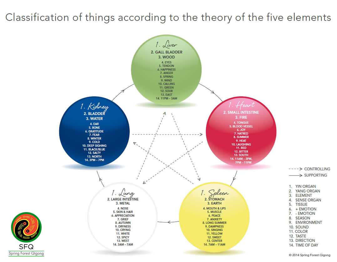 Spring Forest Qigong Five Elements