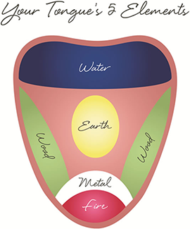 Spring Forest Qigong Tongue Five Element